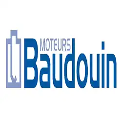 محصولات بادوین